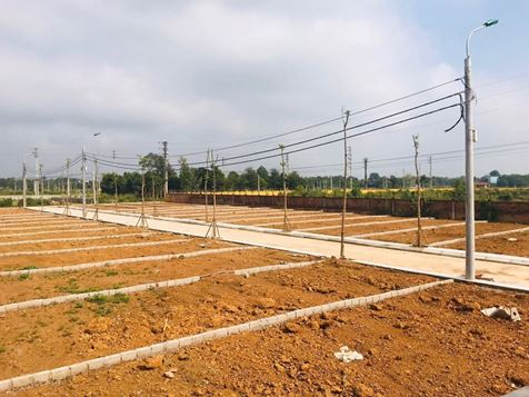 Giá chung cư đi ngang, đất nền giảm: Thời điểm này đã phù hợp để xuống tiền?