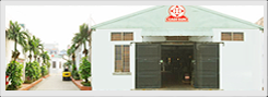Dai Duong Company