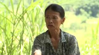 Video Hoàn cảnh gia đình chị Phạm Thị Huệ - Quảng Nam