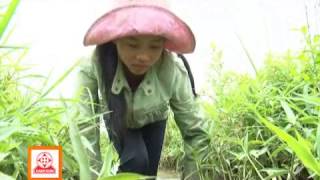 Video hoàn cảnh chị Nguyễn Thị Thủy Tiên