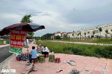 Chính phủ yêu cầu xử lý nghiêm hành vi đầu cơ, thổi giá bất động sản