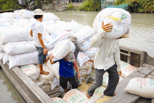 Vietnam adds one more rice seller to highly concentrated markets