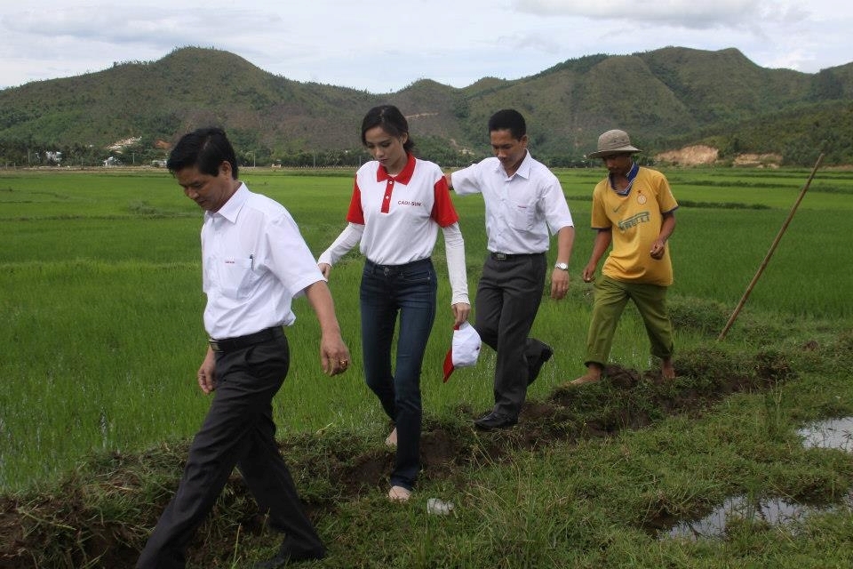 Đà Nẵng: Hành trình đến những mái nhà tranh