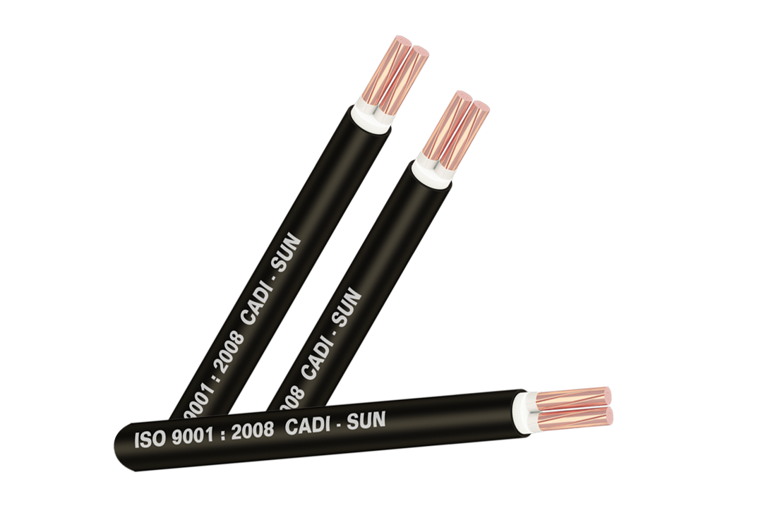 XLPE insulated 2cores copper cable CXV 2x