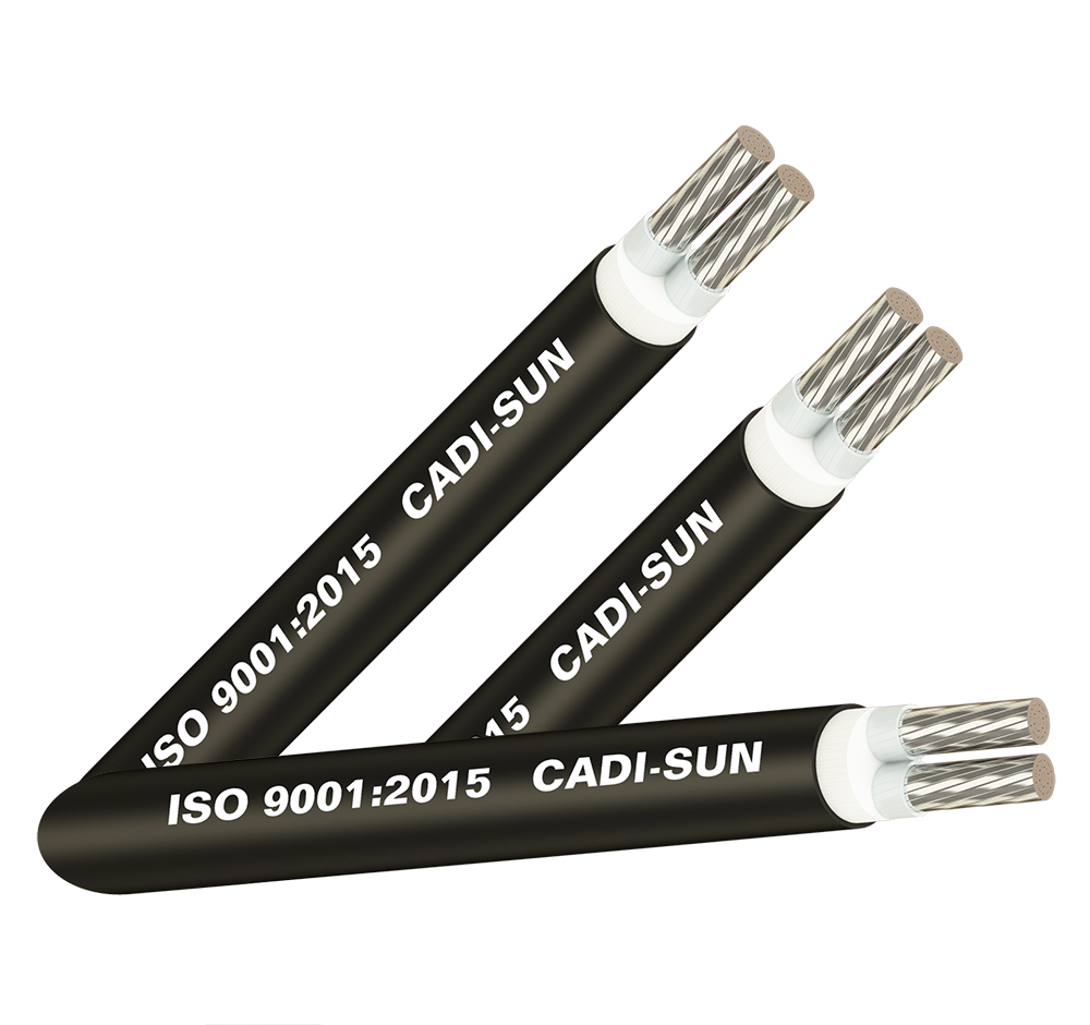 Cáp nhôm 2 ruột, cách điện XLPE, vỏ bọc PVC - AXV2x