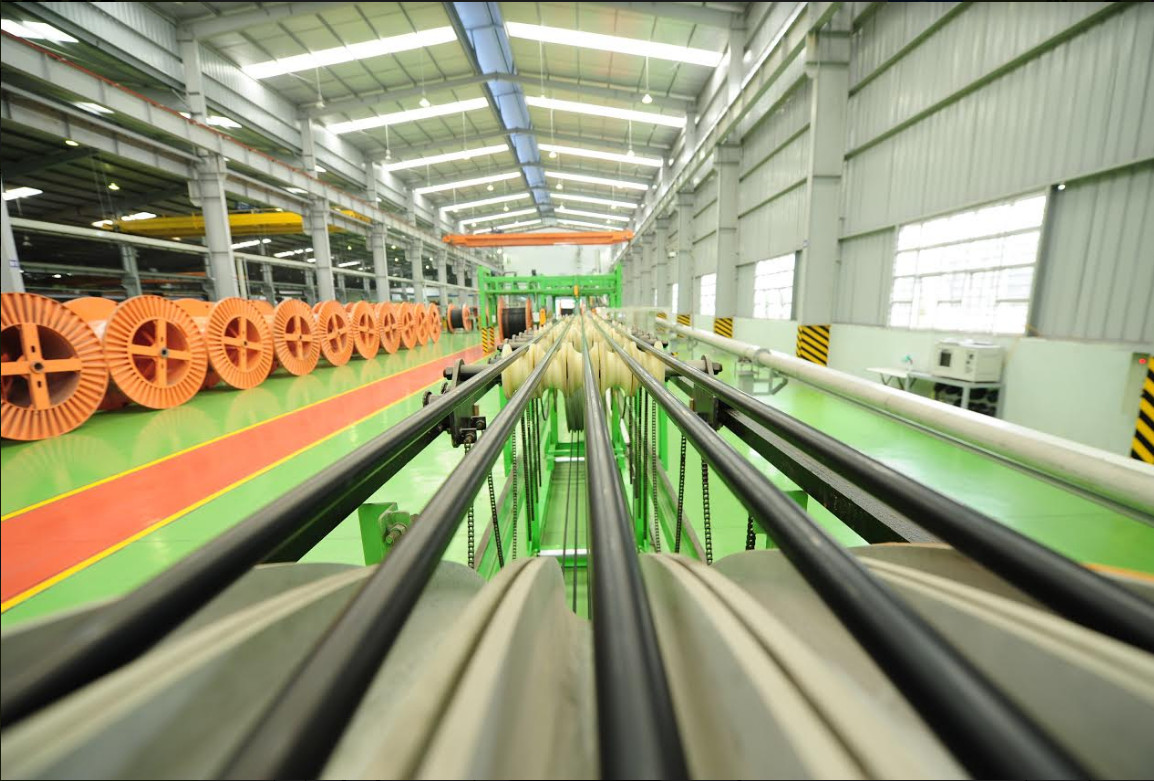 CADI-SUN: Khởi nghiệp để trường tồn