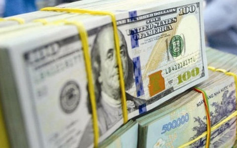 USD/VND exchange rate hits record high, vietnam economy, business news, vn news, vietnamnet bridge, english news, Vietnam news, news Vietnam, vietnamnet news, vn news, Vietnam net news, Vietnam latest news, Vietnam breaking news
