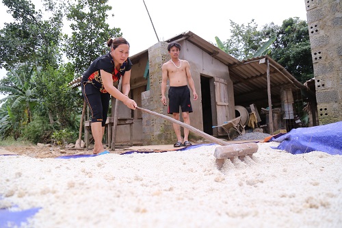 mien-trung-de-nghi-duoc-ho-tro-gao-hoa-chat-xu-ly-moi-truong